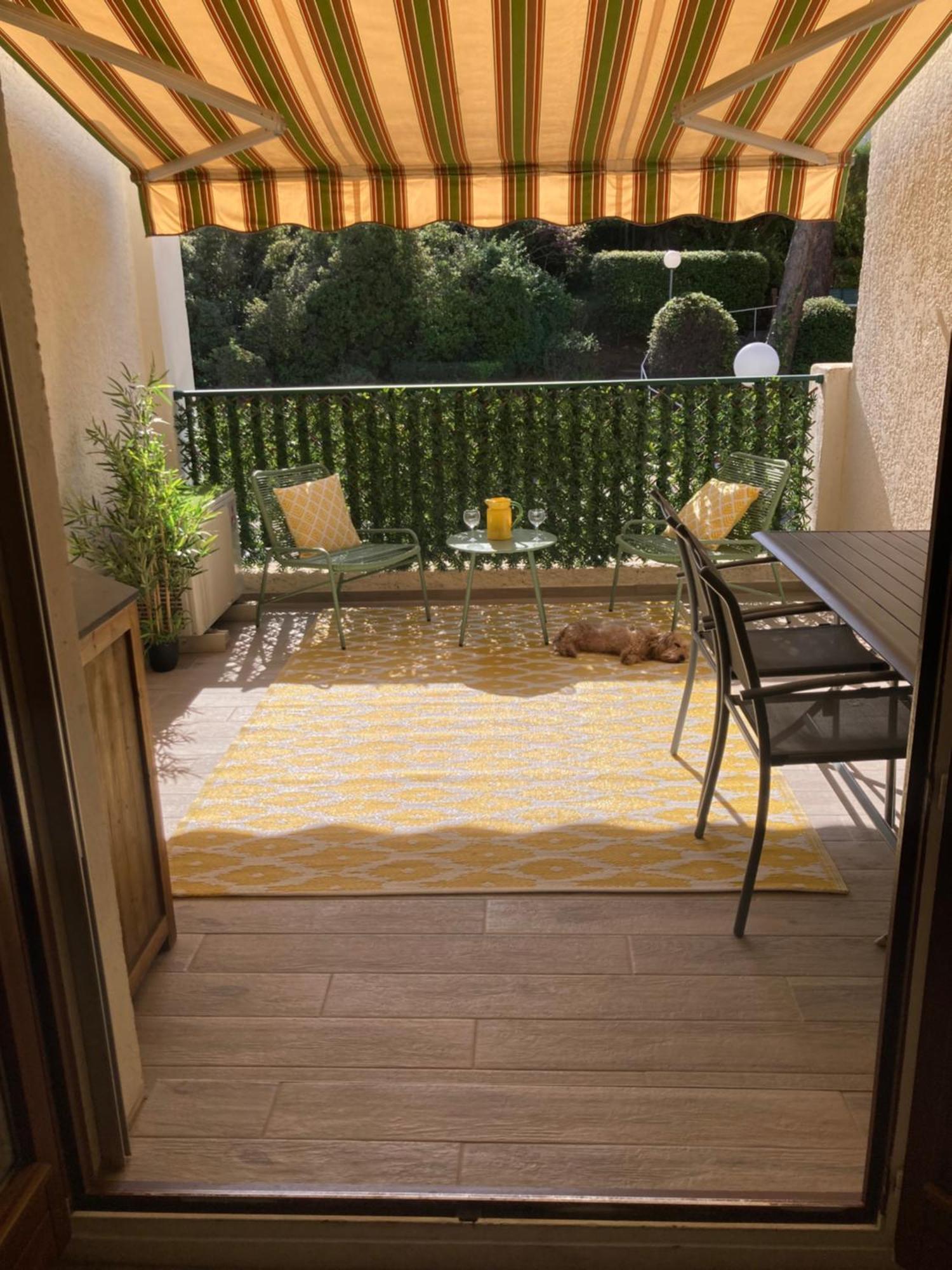 Studio 110 Grande Terrasse Proche Mer Bandol Ngoại thất bức ảnh